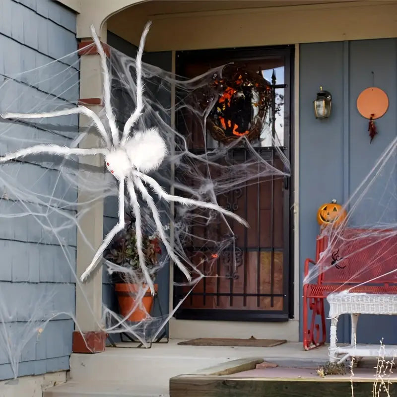Creepy Crawly: The Halloween Spider Showstopper